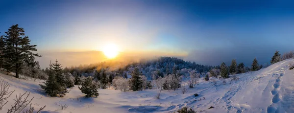 Beautiful winter landscape. The sun sets below the horizon against the backdrop of powdered winter trees atop a snowy mountain