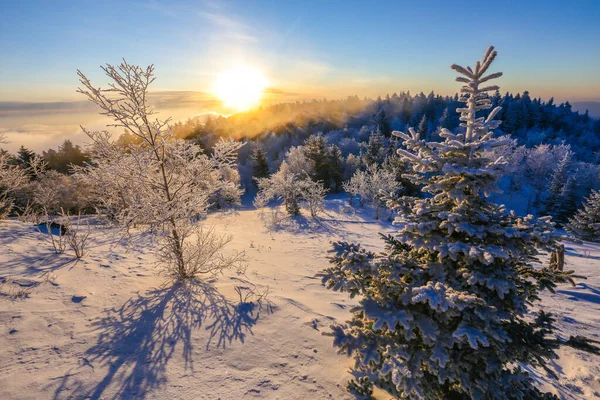 Beautiful Winter Landscape Sun Sets Horizon Backdrop Powdered Winter Trees — Stock Photo, Image