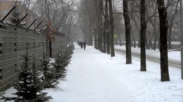 Vladivostok Primorský Kraj 2021 Zima Zpomalený Pohyb Skupina Lidí Chodí — Stock video