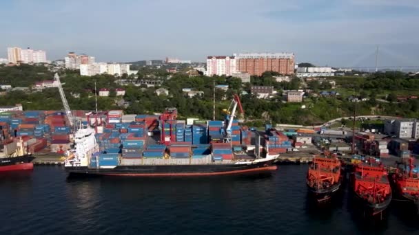 Vladivostok Primorsky Region 2020 Vladivostok Sjöcontainerlogistikhamn Ett Stort Handelsfartyg Dockas — Stockvideo
