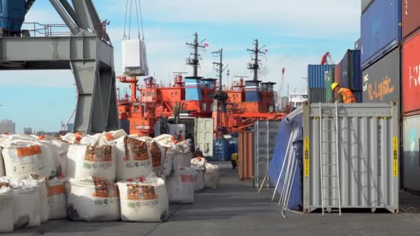 俄罗斯符拉迪沃斯托克 2020年 符拉迪沃斯托克海上商业集装箱物流港口 大型塔式起重机将货物从陆路运送到商船上 港口装卸作业中的大型水泥摊位 — 图库视频影像