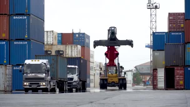 Vladivostok Russie 2020 Vladivostok Sea Commercial Container Logistics Port Empileur — Video
