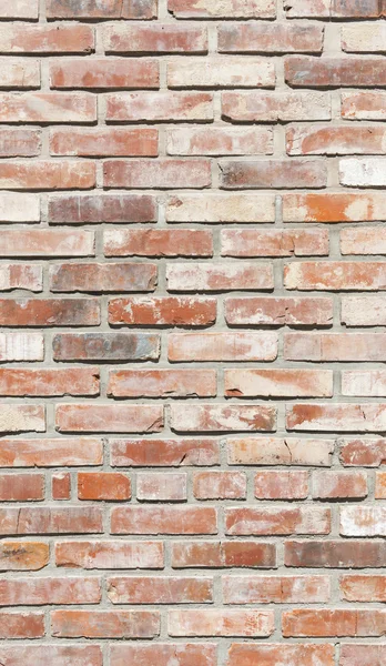 Background of brick wall in bright sunny day — Stock Photo, Image