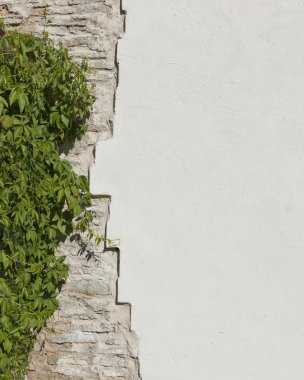 Hangi overgre eski vintage kireçtaşı ve beyaz sıvalı duvar