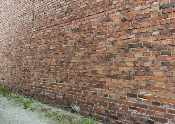 Antigua pared de ladrillo vintage y hierba antes de ella  . Fotos de stock libres de derechos