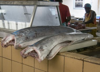 Merlin balık Balık pazarında