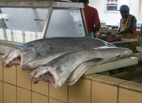 Merlin balık Balık pazarında