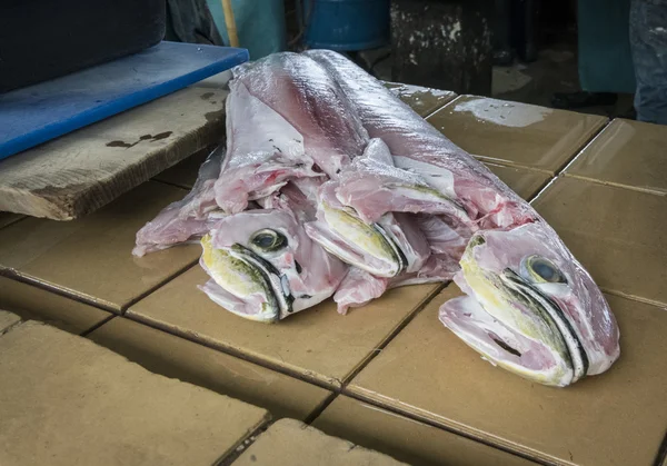 Підготовлена риба на рибному ринку — стокове фото