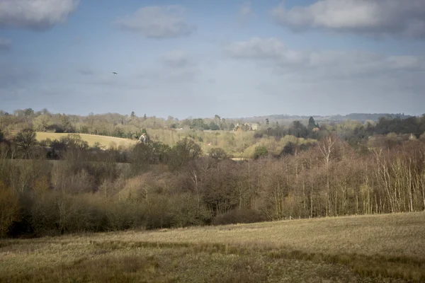 Utsikt över High Weald landsbygden — Stockfoto