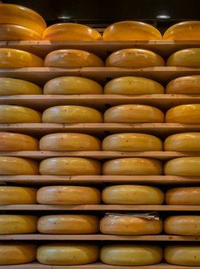 Hollanda 'nın Gouda şehrinde bir peynir dükkânı.