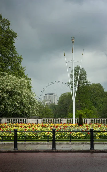 Buckingham Palace Flower Beds Memorial Garden London — Stock fotografie