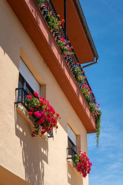 İspanya 'da bir İspanyol villasında balkonda güzel sardunya çiçekleri