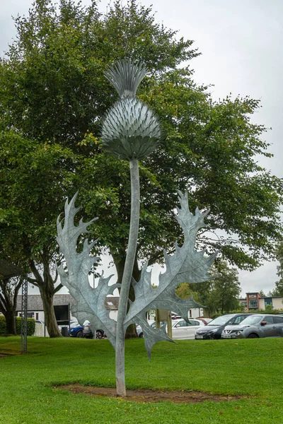 Une Statue Chardon Emblème National Écosse Gretna Green Écosse Royaume — Photo