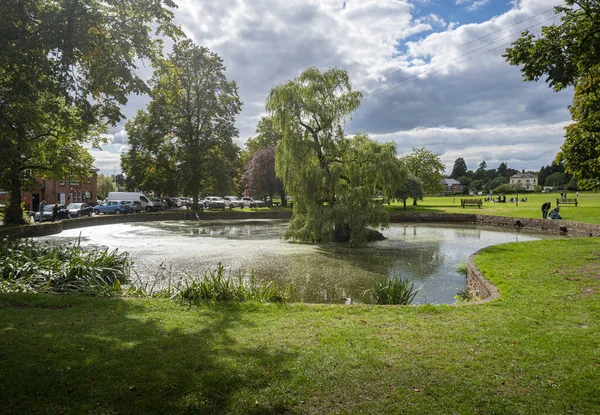 View Pond Godstone Green Surrey — Stock Photo, Image
