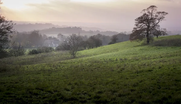 Mist in the Valley — Stock Photo, Image