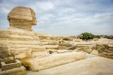 Sfenks Giza, Mısır doğru bakan