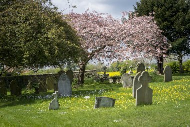 Kilise mezarlığına çiçeği