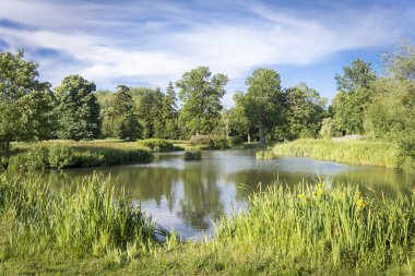 Ağaçları ile çevrili kırsal Gölü