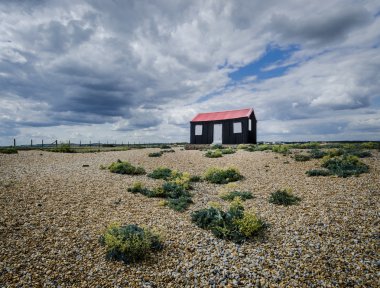 Rye Harbour adlı döken