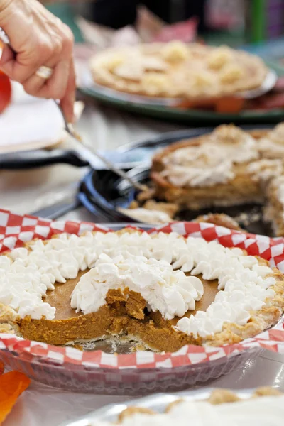 Pumpkin Pie Tasting Contest — Stock Photo, Image