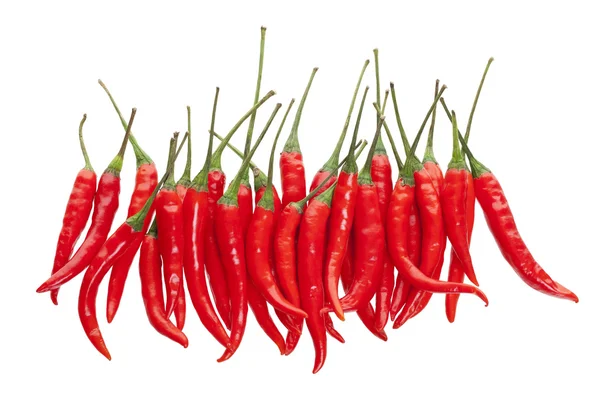 Rote Chilischoten — Stockfoto