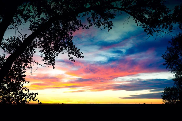 Södra Alberta Prairie Sunset Stockfoto