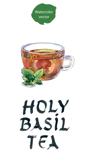 Elhagyja a csésze zöld tulsi gyógynövény tea, indiai tea — Stock Vector