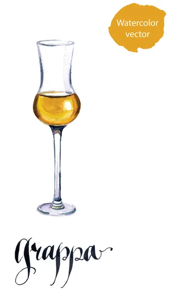 İtalyan grappa brendi cam — Stok Vektör