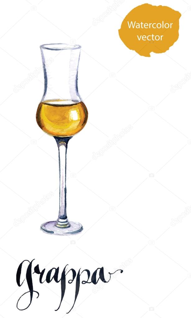 Glass of Italian grappa brandy