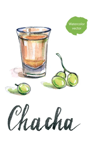 Copo de vodka georgiana "chacha" com uva —  Vetores de Stock