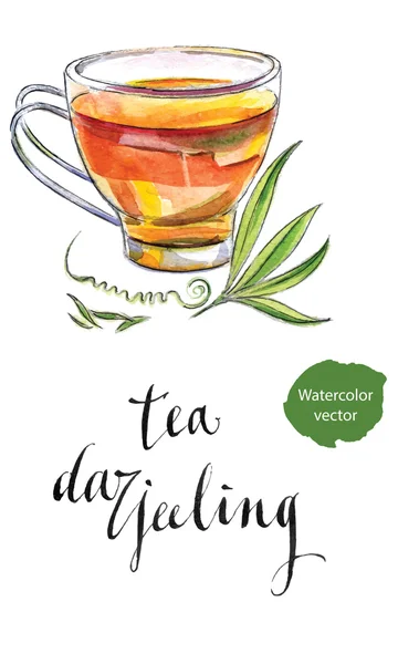 Tazza di tè nero indiano con foglie di Darjeeling — Vettoriale Stock