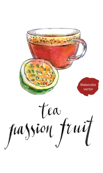 Tea a golgotavirág gyümölcse — Stock Vector