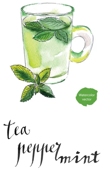 Ceașcă de ceai din plante cu frunze proaspete de mentă — Vector de stoc