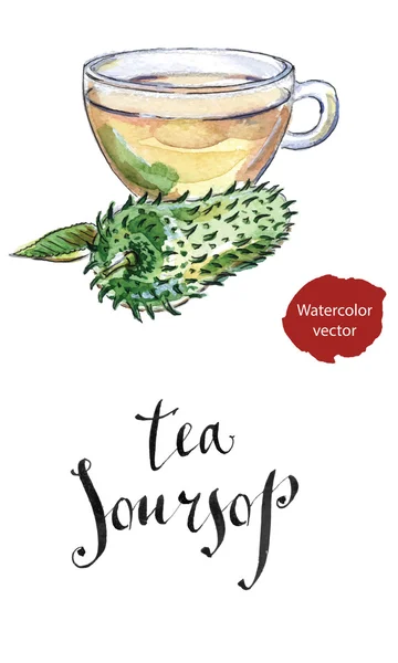 Copa de vidrio de "Soursop" "Ceilona" Tea, Prickly Custard Apple — Vector de stock