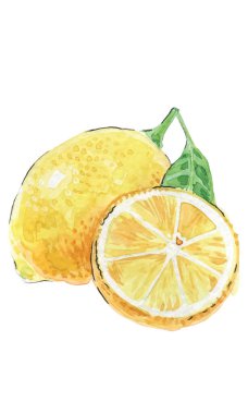 Suluboya çizimi, iki sarı limon, bütünü ve kesimi, vektör illüstrasyonu