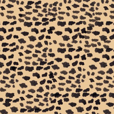 Puma, puma, panter derisi, desen, vektör çizimi