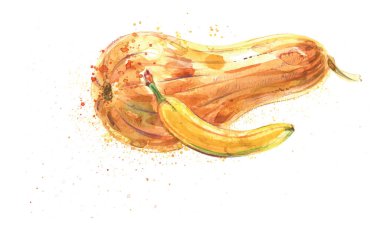 Suluboya çizimi, muz ve kabak, balkabağı, vektör illüstrasyonu