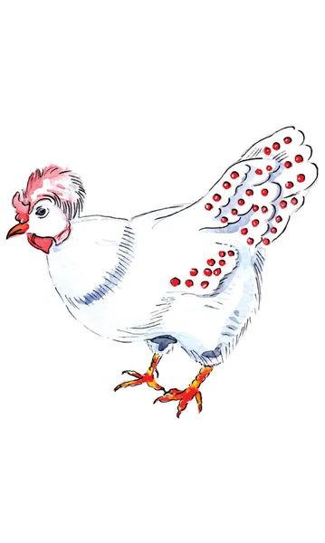 Aquarel Illustratie Franse Hen Voor Dagen Van Kerstmis Charmes Vector — Stockvector