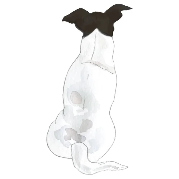 Illustrazione Acquerello Jack Russell Razza Cane Illustrazione Vettoriale — Vettoriale Stock