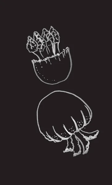 Kézzel Rajzolt Illusztráció Ecsettel Toll Fekete Háttér Két Medúzák Vektor — Stock Vector