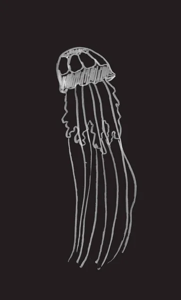 Kézzel Rajzolt Illusztráció Ecsettel Toll Fekete Háttér Medúza Vektor Illusztráció — Stock Vector
