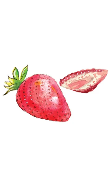 Aquarell Illustration Zwei Rote Erdbeeren Ganz Und Geschnitten Vektorillustration — Stockvektor