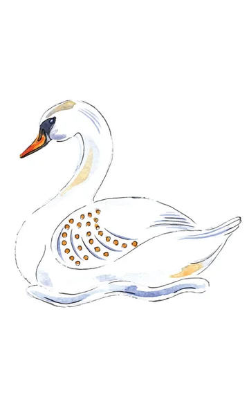 Akvarelové Ilustrace Swan Swimming Days Christmas Charms Vektorové Ilustrace — Stockový vektor