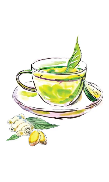 Aquarell Handgezeichnete Tasse Tee Ingwer Und Zitrone Vektorillustration — Stockvektor