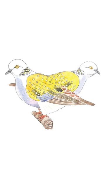 水彩画のイラスト クリスマスの12日間の亀の鳩 ベクトルのイラスト — ストックベクタ