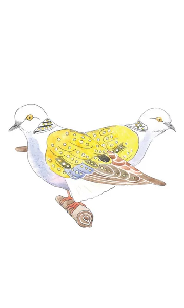 Watercolor Illustration Turtle Dove Days Christmas Charms Vector Illustration — 스톡 벡터