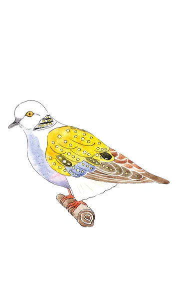 水彩画のイラスト クリスマスの12日間の亀の鳩 ベクトルのイラスト — ストックベクタ