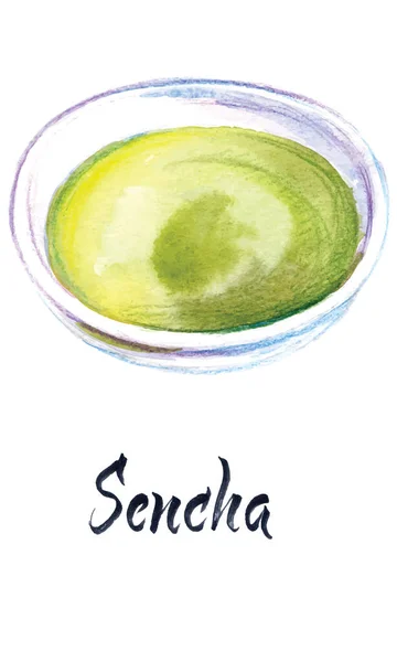 Ilustração Aquarela Chá Japonês Chá Sencha Ilustração Vetorial —  Vetores de Stock