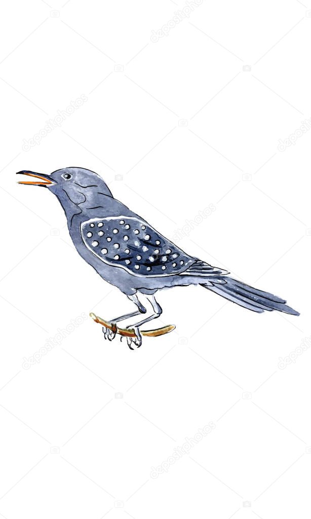 Watercolor illustration, Calling bird for 12 Days of Christmas Charms, vector illustration
