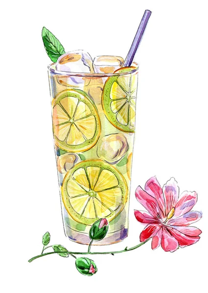 Handgezeichnete Illustration Von Limonade Minzblatt Röhrchen Und Rosa Hibiskusblüte — Stockfoto